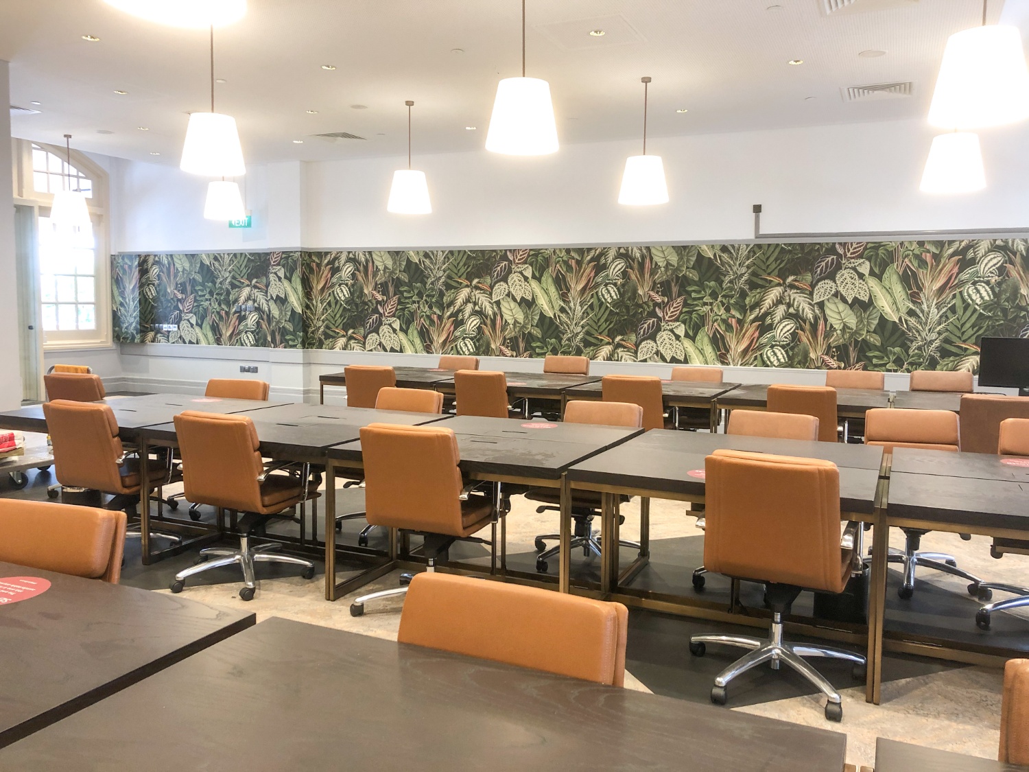 Commercial office wallpaper at The Great Room - Night-time Jungle Tropical Mural